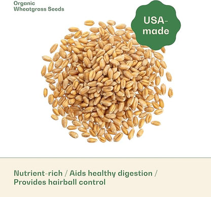 Rose & Branch Organic Wheat Grass Seeds for Indoor Cats - Cat Grass Seeds - 16 Ounces - 100% Organic Non-GMO - Hard Red Wheat - Harvested in USA - Easy to Grow