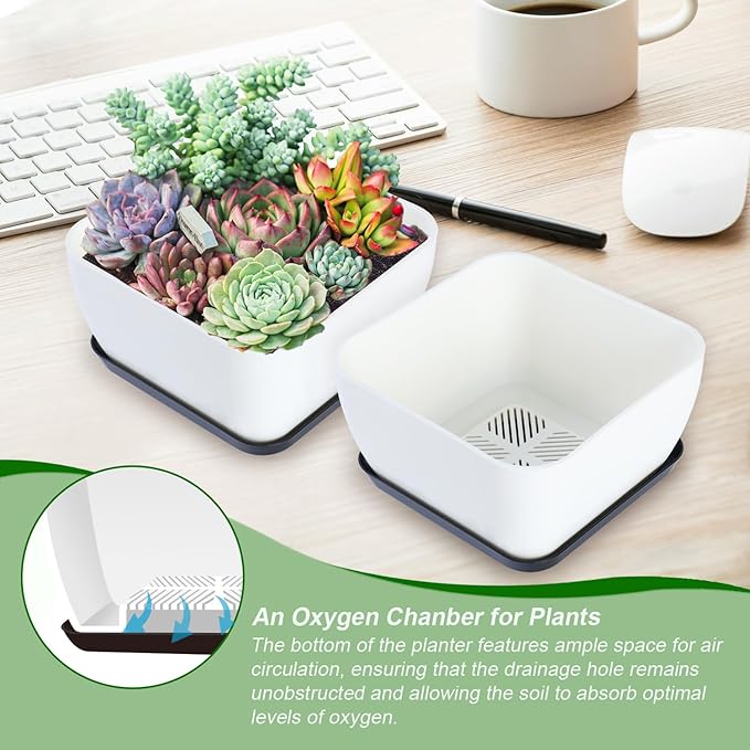 Succulent Pots 6 Inch Shallow Herb Planters with Drainage Hole - 4 Packs Cactus Planter for Home Office Garden Plants Pot Present - Plants Not Included (Off White)