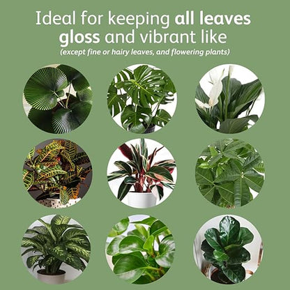 Chrysal Leaf Shine Spray for Indoor Plants (25 Ounce 1 Pack)