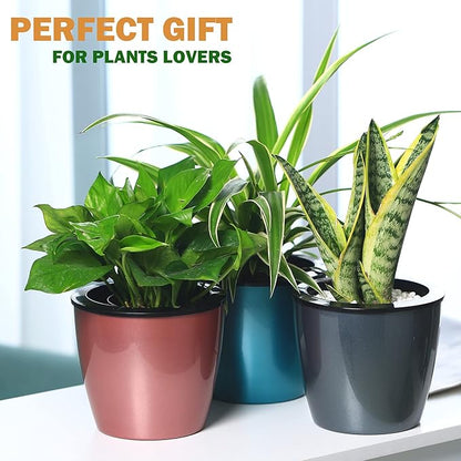 Planterhoma 6.7 Inch Self Watering Pots for Indoor Plants, 6 Packs African Violet Pots, Black Wick Pot with Drainage Holes, Self Watering Planters for Orchid, Devil's Ivy, Silver/Blue Gold
