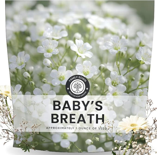 Baby’s Breath – 22,000 Seeds for Planting – 2026 Season – 1 Ounce Pouch