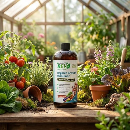 Organic REV Liquid Plant Growth Stimulant – OMRI Listed Organic Soil & Plant Supplement for Vegetables, Flowers & Lawns – Supports Root Development & Nutrient Uptake – 32 Ounce