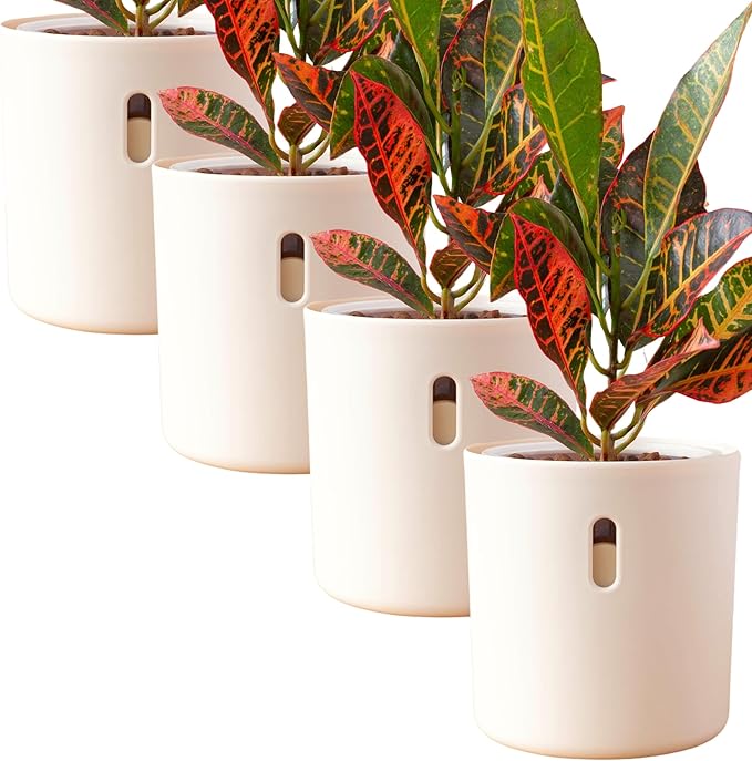 Self Watering Pot for Leca and Pon, Semi Hydroponic Planter for Indoor Plants, Clear Inner Pot & Water Level Indicator (Cream (4-Pack), 6 inch)