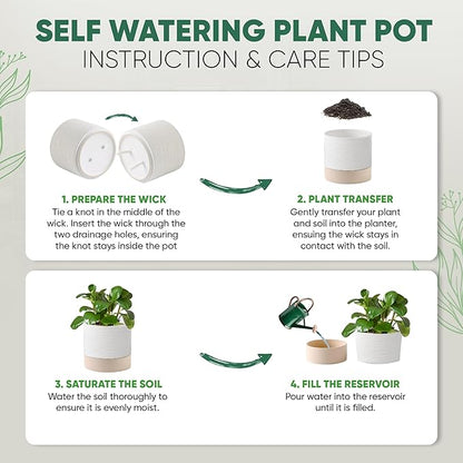 Ceramic Self Watering Plant Pots – 6 Inch White Planter with Drainage Hole & Water Storage for Succulents & Modern Indoor House Plants (White & Beige, 6" Wide)