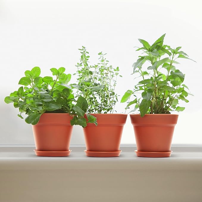 6 Pack Plastic Plant Pots with Drainage Holes and Tray, 7 inch Thickened Indoor Planters Seedlings Nursery Pots for Flowers, African Violet, Succulent and All House Plants, Terracotta