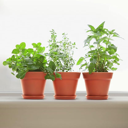 10 Pack Plastic Plant Pots with Drainage Holes and Tray, 5 inch Thickened Indoor Planters Seedlings Nursery Pots for Flowers, African Violet, Succulent and All House Plants, Terracotta