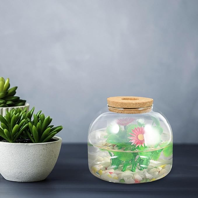 iplusmile Glass Terrarium Jar with Stopper 5.90X5.90X10.23 Inch Hydroponic Plant Container for Miniature Gardens Succulent Air Plant Display Vase for Home Office Decor