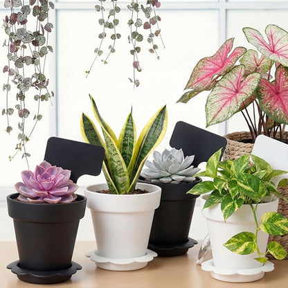 36 Packs Cupcake Plant Nursery Pots with Humidity Dome Small Flower Pots Plastic Planting Containers Cups with Saucers and Shovel for Indoor Outdoor Plant Succulent Display(Black and White)