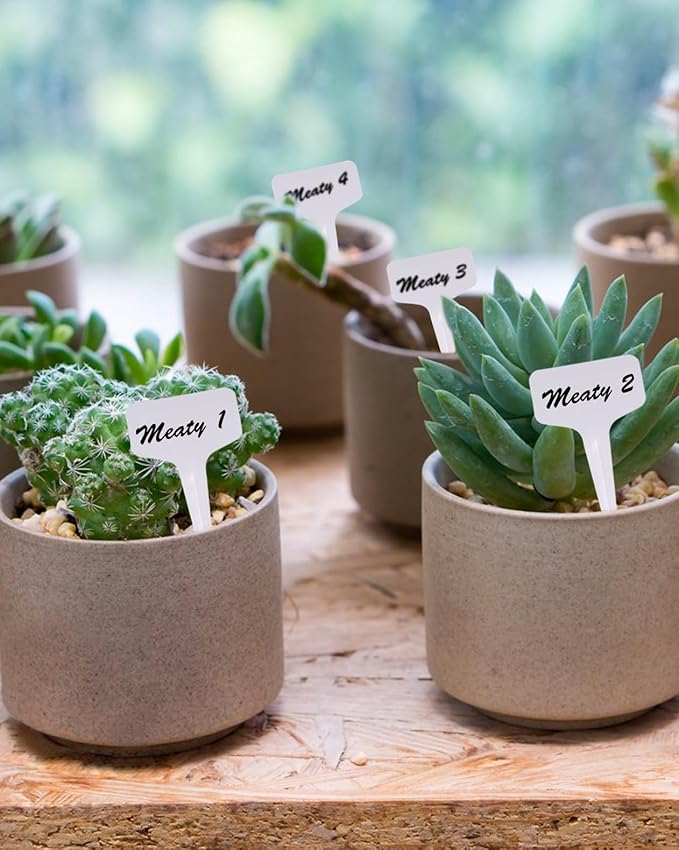 300 Pcs Plastic Plant T-Type Tags Nursery Garden Labels 6 x10cm Seed Remark Name Sign Waterproof Flower Potting Name Markers Garden Seedling Tags Recording Plant Time Name