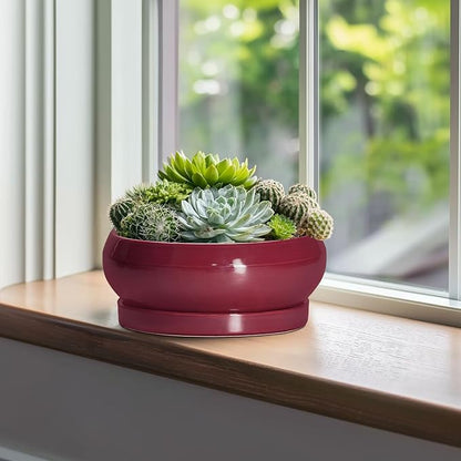 Bonsai Pots 10 Inch - Ceramic Succulent Planters for Indoor Plants Outdoor, Round Succulent Pots with Drainage Hole and Tray, Shallow Planter, Room Decor, Gifts for Plant Lovers, Wine Red