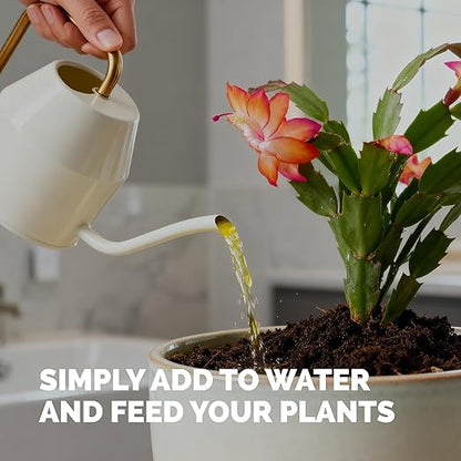 Christmas Cactus Fertilizer for All Christmas Cacti and Schlumbergera Cacti, Liquid Plant Food, 32 oz (1 Quart)