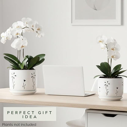 2 Pack, 5 + 6 Inch White Orchid Pots with Holes and Saucer, Ceramic Orchid Planters for Repotting with Drainage Holes and Tray, Plant Flower Pot containers for Orchid Indoor Outdoor