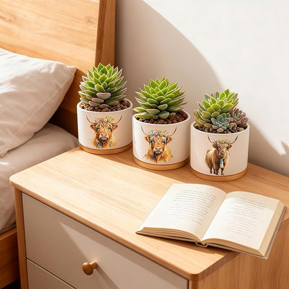 Highland Cow Planters for Indoor Plants – 1350°C Kiln-Fired Fine Ceramic Succulent Planter Set of 3, Cute Animal Pots for Room, Bathroom, Yoga, Meditation Decor (No Plant Included)