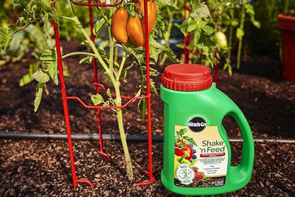 Miracle-Gro Shake 'n Feed Tomato, Fruit and Vegetable Plant Food, for Outdoor In-Ground and Potted Plants, Feeds up to 3 Months, 4.5 lbs. (Pack of 6)