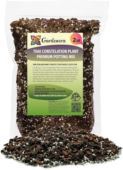 GARDENERA Thai Constellation Monstera Soil Mix - Specially Formulated for Strong Root Development - 2 Quart
