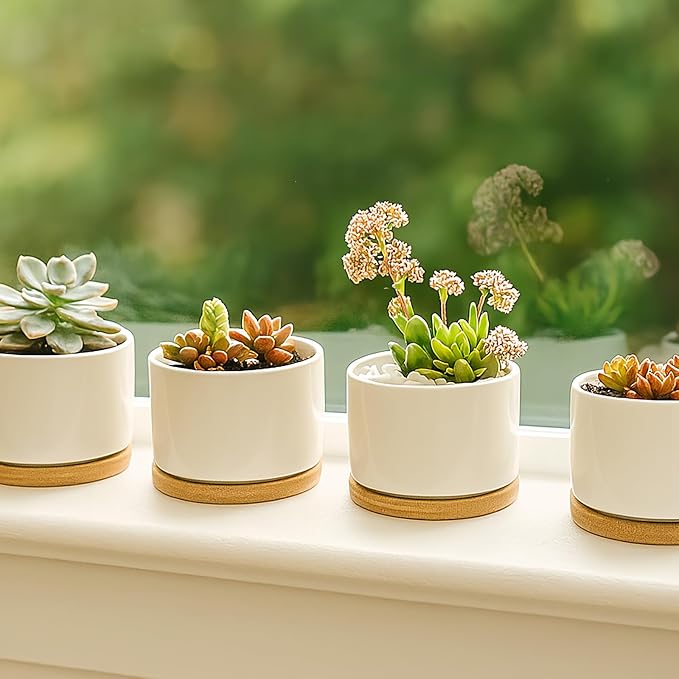 ZOUTOG Ceramic Succulent Pots,3.6 Inch Plant Pots,Succulent Planters with Drainage Hole & Bamboo Tray for Indoor Plants,White Small Flower Planters for Home,Office,Desk(6 Pack)
