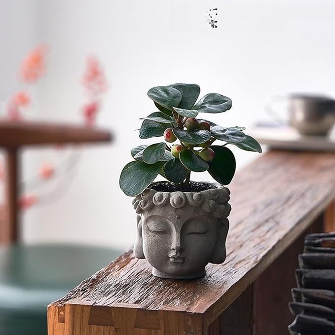 Buddha Head Planter with Drainage Hole - Zen Flower Pot for Succulents, Air Plants, Home & Office Decor, Gift for Plant Lovers (Indoor/Outdoor Use)﻿