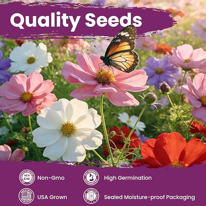 7,000+ Lavender Seeds Large Non GMO 3/4 Ounce Packet English Lavender Seeds- Heirloom Seeds Lavandula Angustifolia Wildflower Seed for Planting Indoor/Outdoor, High Germination