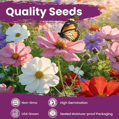 7,000+ Lavender Seeds Large Non GMO 3/4 Ounce Packet English Lavender Seeds- Heirloom Seeds Lavandula Angustifolia Wildflower Seed for Planting Indoor/Outdoor, High Germination