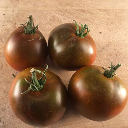Seeds Black Prince Tomato Indeterminate Rare Variety True Siberian Tomato Non GMO Heirloom