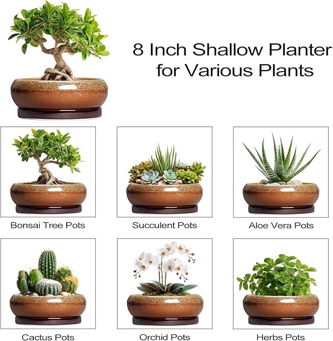 Bonsai Tree Pots - 8 Inch Ceramic Succulent Planter Indoor Outdoor, Bonsai Pots with Drainage Hole and Saucer, Shallow Plant Pots, Round Planters, Kitchen Decor, Gifts for Women, Retro Brown