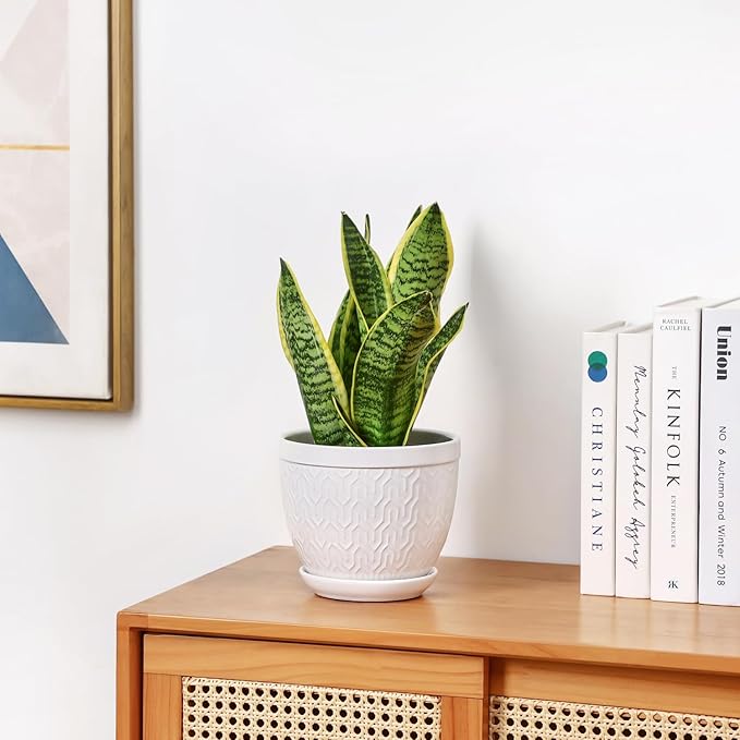 Sureasy 6.5 Inch Ceramic Plant Pots, Embossed Decorative Planters with Drainage Hole and Saucer, Modern Flower Pots for Indoor Plants, Set of 2, White