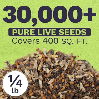 Sweet Yards - Northeast Wildflower Seed Regional Mixes - Bulk 1/4 Pound Bag - Over 30,000 Native Seeds - Open Pollinated and Non GMO Varieties for New York, Virginia, Pennsylvania, Maine and More!