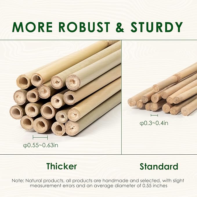 Bamboo Stakes 4 Feet Thicker Garden Stakes with Garden Twine, Diameter of 0.55in Natural Plant Stakes Bamboo Poles for Climbing Plants Support Tomato Cage - 20 Pack Bamboo Sticks for Plants