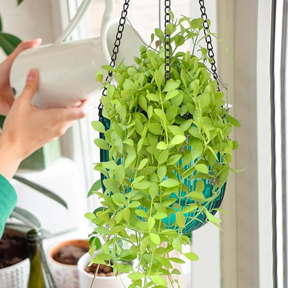 Maxcheck 4 Pcs Self Watering Hanging Planters Indoor Gift 6.5'' 4.5'' Hanging Flower Pots Baskets Outdoor Self Watering Plant with 3hooks Drainage Holes for Home(Emerald)