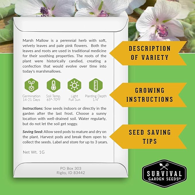Marshmallow Seeds for Planting - Marsh Mallow Medicinal Herb, Althaea Officinalis, Traditional Root Plant for Herb Garden - Heirloom Non-GMO Open Pollinated - Survival Garden Seeds (2 Pack)