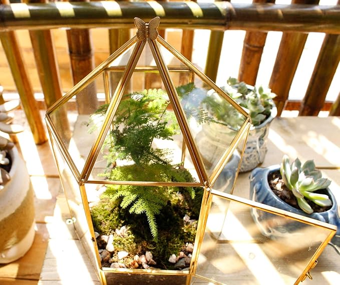 ELEGANTLIFE Glass Geometric Plant Terrarium,Succulent & Air Planter for Home Garden Office Decoration,No Plants(Gold Hexagonal)