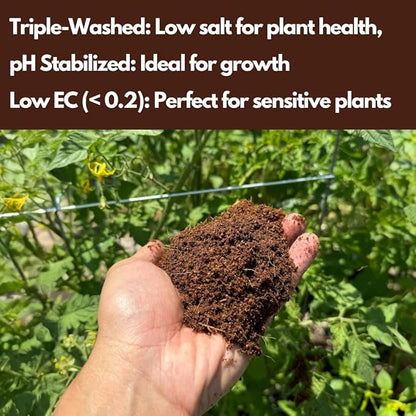 Greenstone Kiss Coco Coir Soil 100% - Low EC, RHP Certified Premium Soilless Media Alternative (50 Liters / 1.77 Cu Ft)