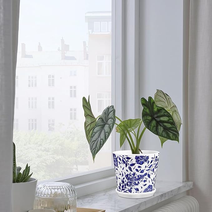 Set of 3 Decorative Plant Pots Blue and White Flower Pot, Round Ceramic Planters for Indoor Plants Pots with Drainage Hole Saucers, Retro Planter Pot for Succulents Cactus Outdoor Garden, 5.9 Inch