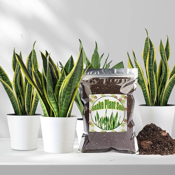 Premium Snake Plant Soil Mix 1qt, Indoor Plants Potting Mix for All Potted Snake Plants, Promote Healthy Growth and Easy Care, black