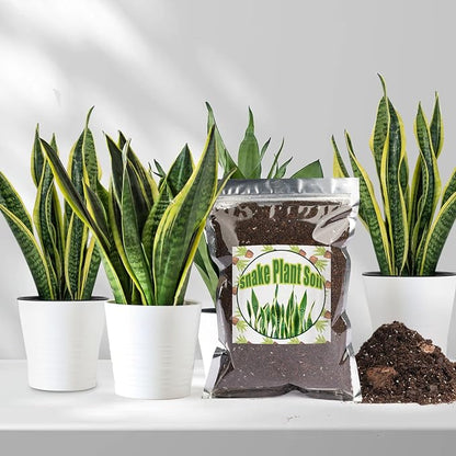 Premium Snake Plant Soil Mix 1qt, Indoor Plants Potting Mix for All Potted Snake Plants, Promote Healthy Growth and Easy Care, black