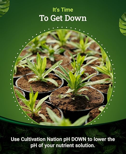 FoxFarm Cultivation Nation pH Down for Plants’ Nutrient Solutions - Formulated with Citric Acid for Adjustment - Ideal for Soil & Hydroponics, Lowers pH Levels for Plant Growth - 1 Gallon