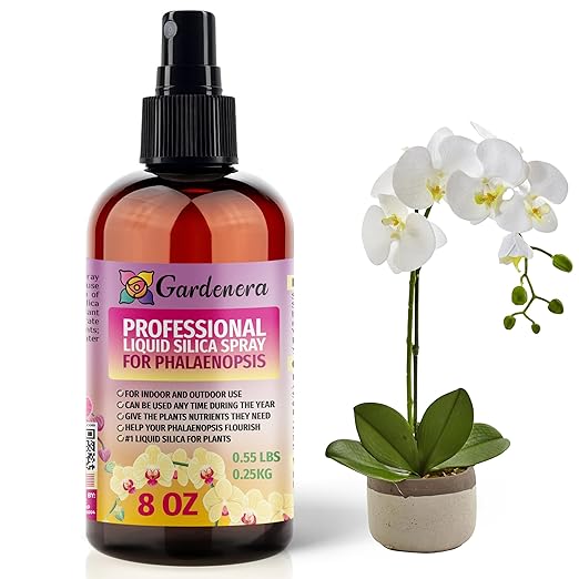 𝐒𝐔𝐏𝐄𝐑𝐈𝐎𝐑 Liquid Silica Boost Fertilizer and Supplement Spray for PHALAENOPSIS Plants – Pre-Mixed, Ready-to-Use Liquid Silicon Plant Superfood Mist for Indoor & Outdoor Plants – 8oz