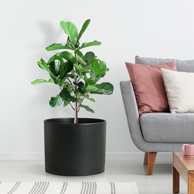 Large Plant Pots Set of 3 – 8", 9", 10" Indoor Flower Pots with Drainage Holes and Saucers, Big Planters for Monstera, Fiddle Leaf Fig, Snake Plant – 5 Colors