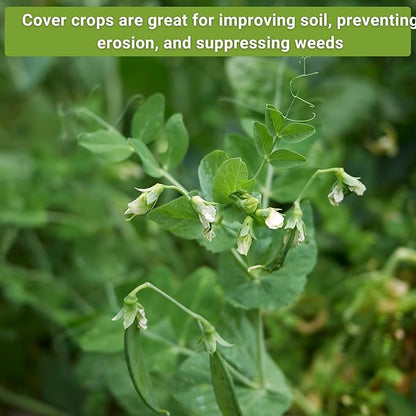 Sow Right Seeds - Cover Crop Collection for Planting - 9 Packets of Popular and Hardy Cover Crops - Suppresses Weeds, Improves Soil, Helps with Erosion - Non-GMO Heirloom Packet to Grow - Great Gift