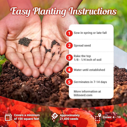 Parade of Poppy Wildflower Seeds - 1oz, Open-Pollinated Flower Seed Mix Packets, No Fillers, Annual, Easily Re-Seeds, Wildflower Seeds, Year-Round Planting - 1 oz