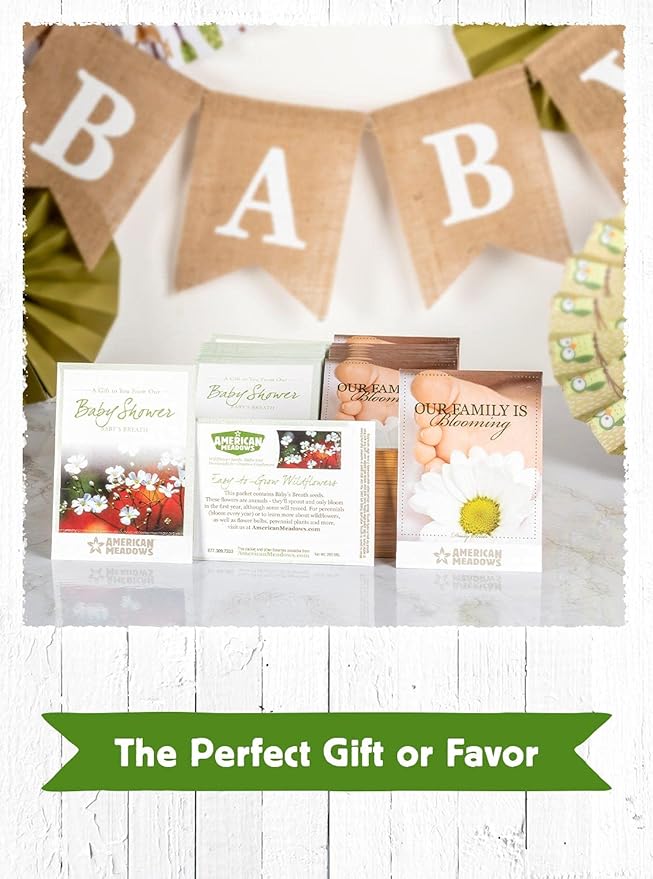 American Meadows Wildflower Seed Packets Our Family is Blooming Baby Shower Party Favors (Pack of 20) - Wildflower Seed Packet Favors for Baby Showers and Sprinkles, Great Gift for Hostesses