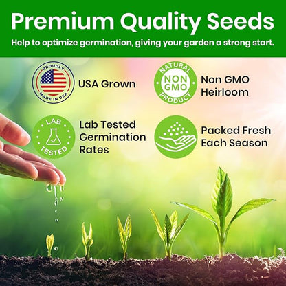 NatureZ Edge Lettuce Seeds for Planting, 4 Popular Varieties Non-GMO Heirloom Seeds, Red Romaine, Bibb Butter, Black Seeded Simpson, Green Ice Lettuce, Romaine, Salad Lettuce, Hydroponic Garden, USA