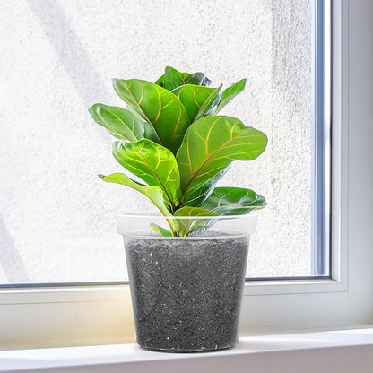 GREANER Clear Plastic Plant Pots, Orchid Pots with Holes and 20 Pcs Plant Labels, 5/6/7/8/9/10 Inch(Pack of 15)