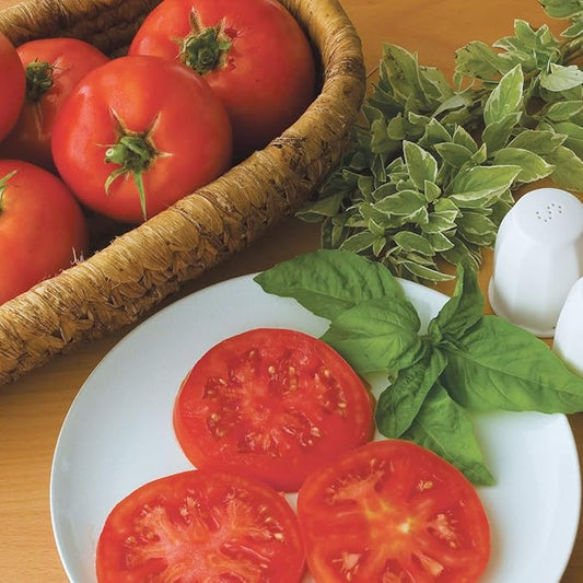 Burpee 'Supersteak' Hybrid | Large Red Beefsteak Slicing Tomato | 125 Seeds