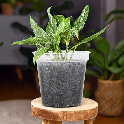 GREANER Clear Plastic Plant Pots, Plastic Planter with Drainage Holes, Nursery Pots for Indoor Outdoor with 20 Plant Labels, 12 Inch(Pack of 5)