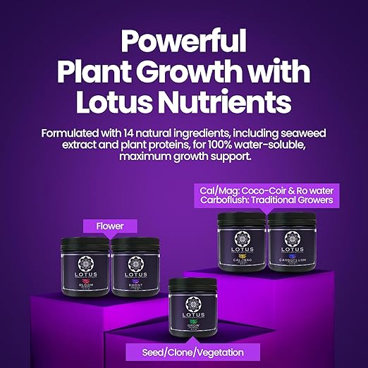 Boost Pro Series Bloom Booster and Yield Enhancer, Boost Any Plant Feeding Recipe for Turbo-Charged Flower Density/Oil Production, Amino Nitrogen Formula for Soil, Hydroponics and Coco Coir - 72 oz