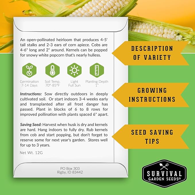 Survival Garden Seeds - Japanese Hulless Popcorn Seed for Planting - 1 Packet with Instructions to Plant and Grow Delicious Kernel Popcorn in Your Home Vegetable Garden - Non-GMO Heirloom Variety