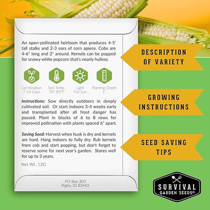 Survival Garden Seeds - Japanese Hulless Popcorn Seed for Planting - 3 Packets with Instructions to Plant and Grow Delicious Kernel Popcorn in Your Home Vegetable Garden - Non-GMO Heirloom Variety
