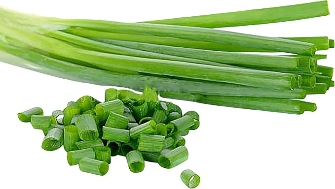 Japanese Bunching Onion - Ishikura Long Winter