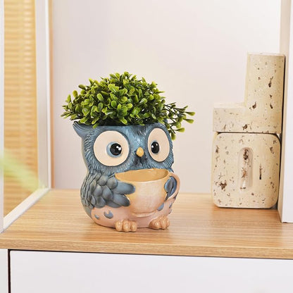 Unique Owl Plant Pots Indoor, Cute Small Succulent Pots with Drainage Hole, Watering Owl Planters for Indoor Outdoor Plants, Resin Flower Pot for String of Pearls, Gift Ideas for Mother